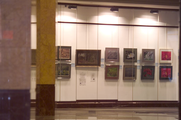 Metropolitan Square Exhibition